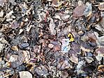 IMG_20260214_160249