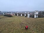 -3