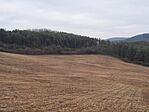 Csak úgy, az orrom után