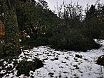 Noszvaj (2)