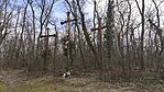 IMG_20260225_113327