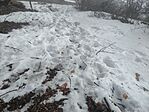 IMG_20260208_104303