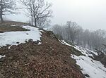 IMG_20260208_105447