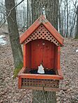 IMG_20260208_120604