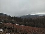 IMG_20260208_122704