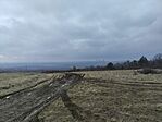 IMG_20260208_133453