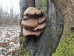IMG_20260210_132507