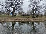 IMG_20260210_132814