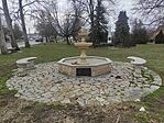 IMG_20260210_134618