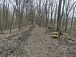 IMG_20260210_145755
