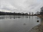 IMG_20260210_145949