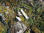 IMG_20260228_112535