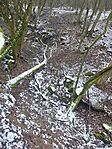 IMG_20260222_130606