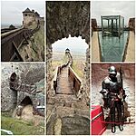 gcbold.collage