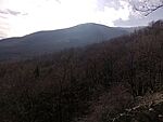 IMG_20260206_120850407_MFNR
