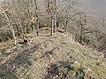 IMG_20260206_120856361_MFNR