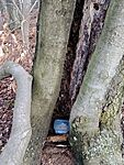 IMG_20260206_141158998_MFNR