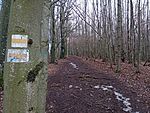 IMG_20260206_141609226_MFNR