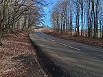 IMG_20260206_144346295_HDR