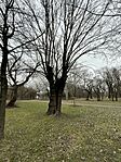 IMG_4735
