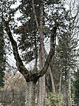 IMG_4738