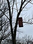 IMG_4734