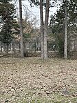 IMG_4736