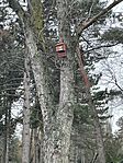 IMG_4737