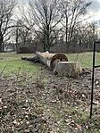 IMG_4758