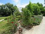 IMG_0151