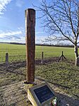 IMG_20260215_151842