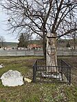 IMG_20260221_124553