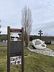 IMG_20260221_124619