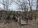 IMG_20260221_123459