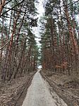 IMG_20260221_115025