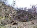 IMG_20260222_114942