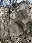 IMG_20260222_115531