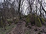IMG_20260222_120327