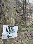 IMG_20260222_120909