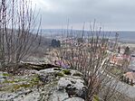 IMG_20260222_121544