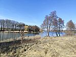 IMG_20260226_132647