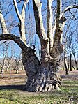 IMG_20260227_100354