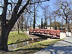 IMG_20260227_101534