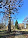 IMG_20260226_090726