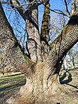IMG_20260226_091028