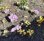 IMG_20260227_173959