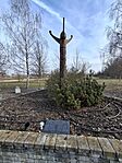20260207_131114.jpg