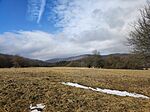IMG_20260208_133224