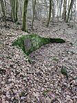 IMG_20260208_134305