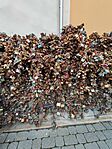 IMG_20260214_164622